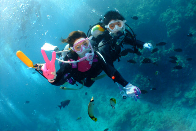 沖縄ダイビングめんそーれの写真1