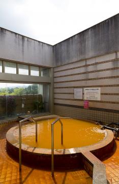 神戸ホテルフルーツ・フラワー バーデハウス 大沢温泉の写真1