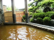 天然温泉 石道の写真1