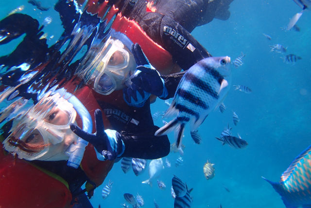 サザンリーフ沖縄の写真1