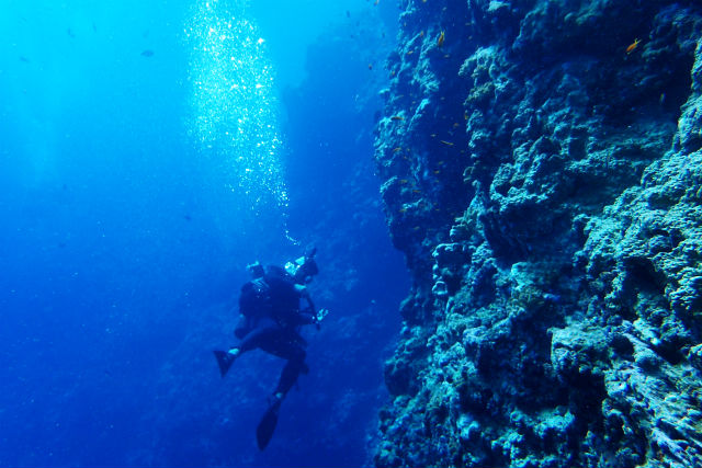 シートラベラーの写真1