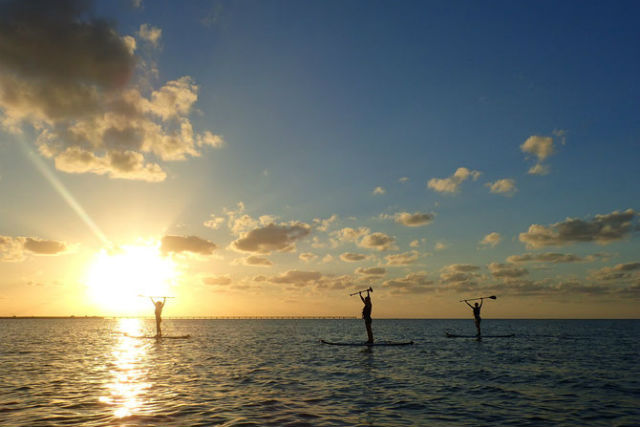 Coral Coastの写真1