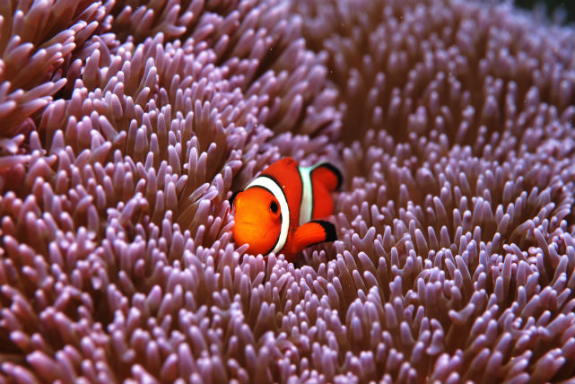 美ら海ダイビングセンターの写真1