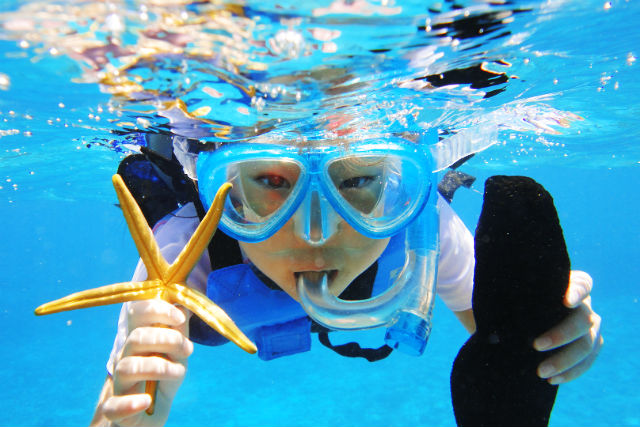 オーシャンスタイルの写真1