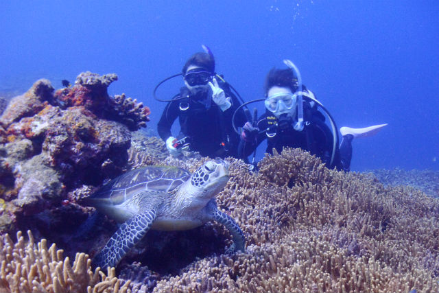 マリンショップtaitaiの写真1