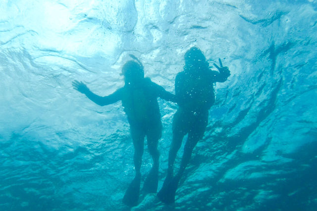 マリンショップ どイエスの写真1