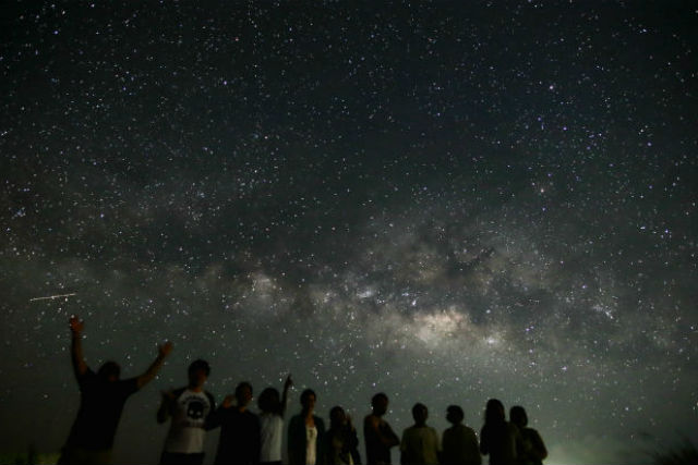 石垣島星空ファームの写真1