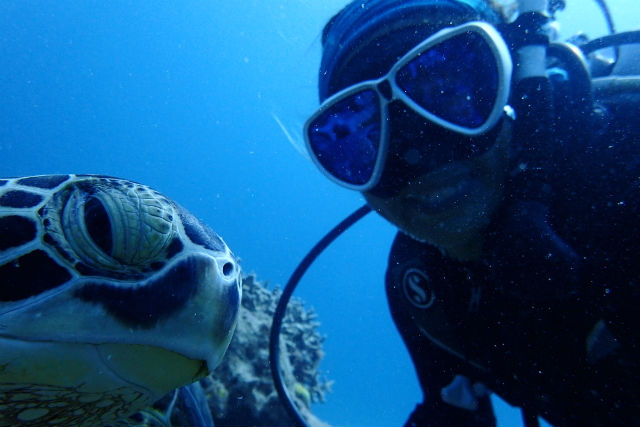 八重山Diving Service Fieldの写真1