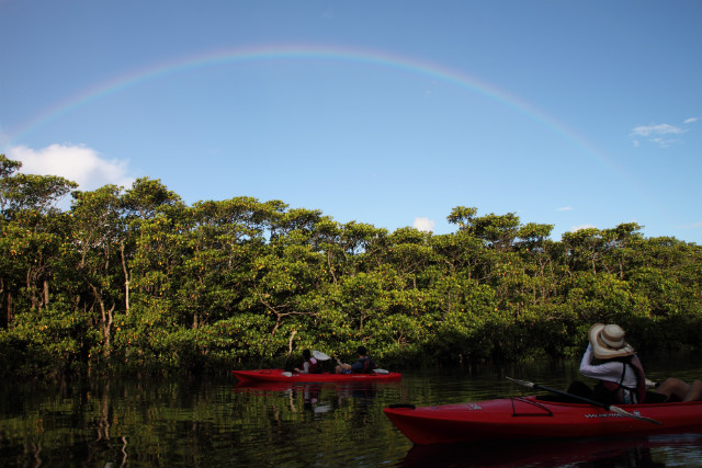 西表島カヌーツーリングあたらすの写真1