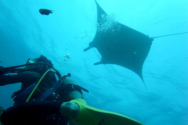 Diving Base Ishigaki-jimaの写真1
