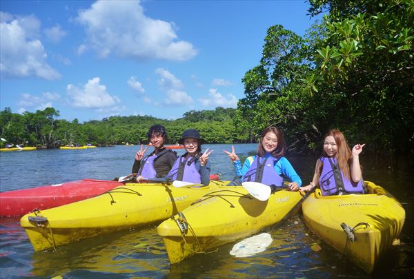 西表島カヌーツアー 風車の写真1