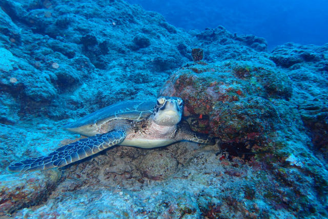 AQUA COLOR'Sの写真1