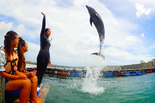 ドルフィンファンタジー石垣島の写真1