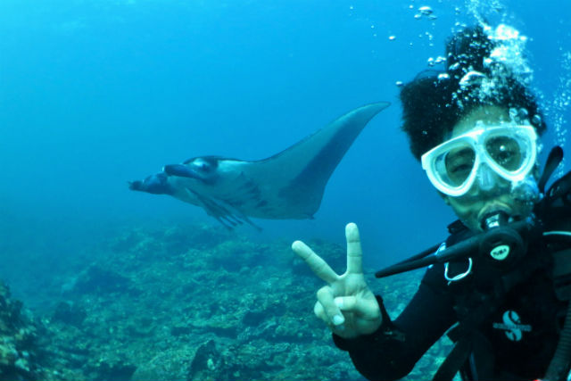 ソライロmarineの写真1