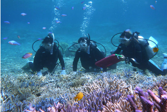 スマイルフィッシュ ダイビングサービスの写真1