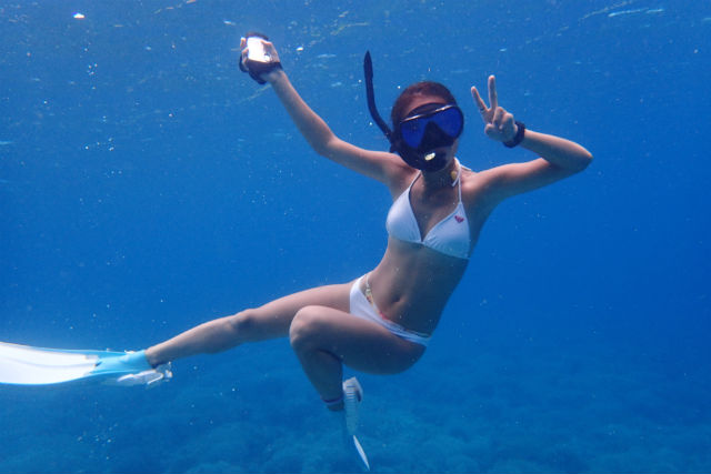 Sea chan石垣島の写真1