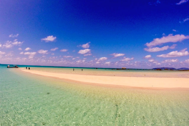 TAKU DIVE 石垣島の写真1