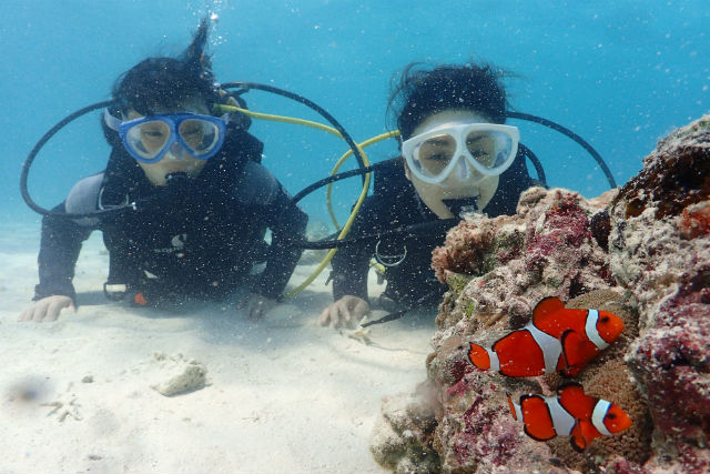 海遊び ネジの写真1