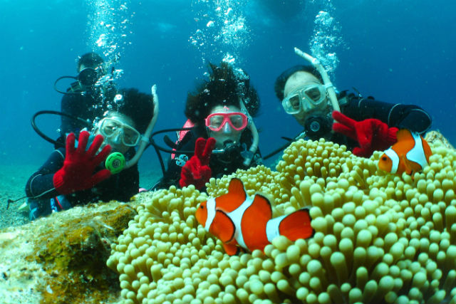 ピュアティ石垣島ダイビングサービスの写真1