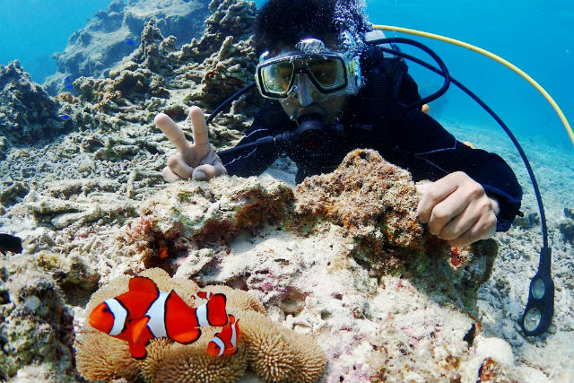 石垣島マリンステージクライムの写真1