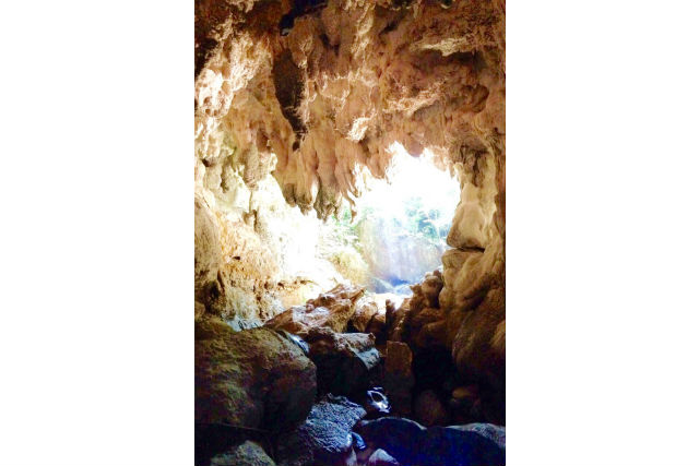 西表島ジャングルツアーPaaOの写真1