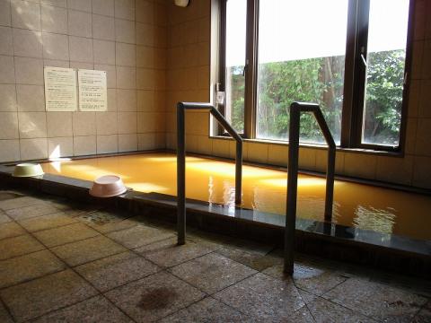 頓原天然炭酸温泉ラムネ銀泉の写真1