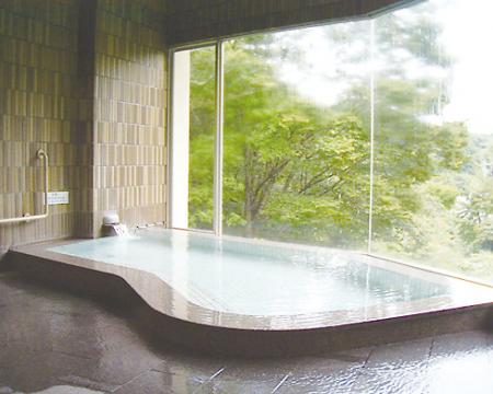 斐乃上温泉 斐乃上荘の写真1