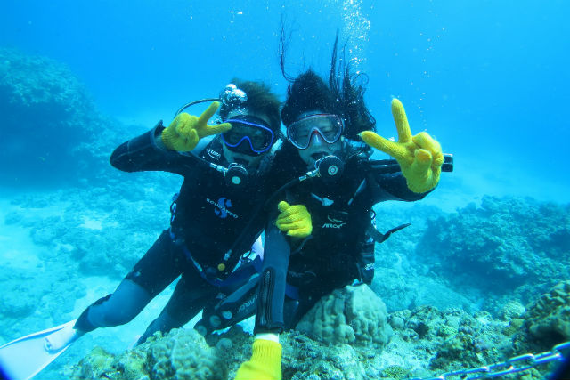 海宝館シーブルームの写真1