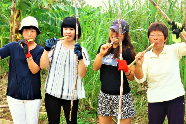 宮古島ひとときさんぽの写真1