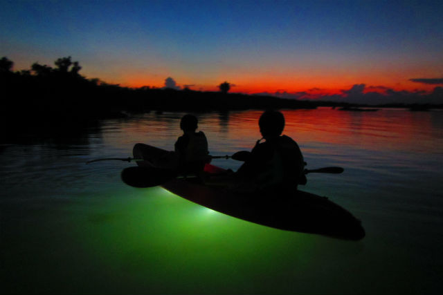 サンセット&ナイトカヤック専門店 inocchiと海遊びの写真1