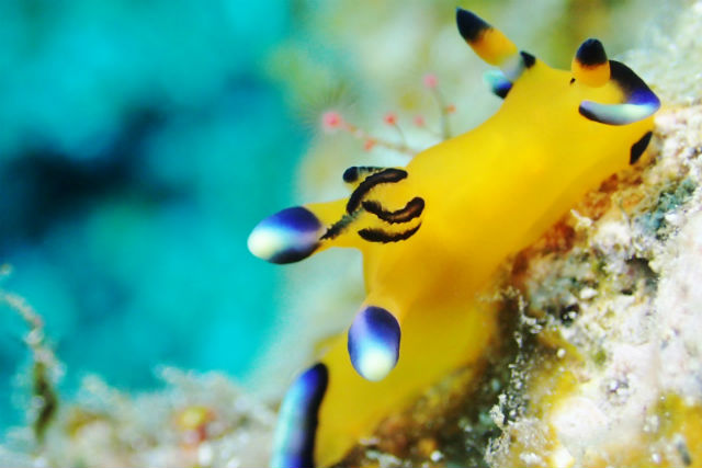 マリンハウスカナロアの写真1