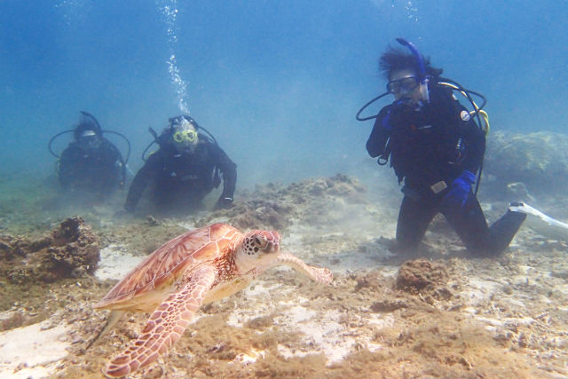 FIVE☆STAGEの写真1