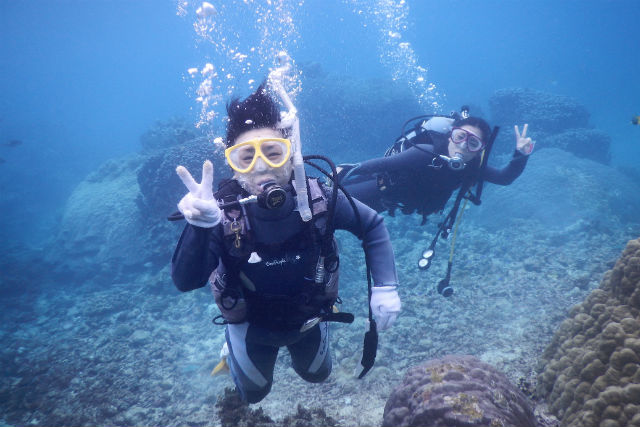 マリンズプロ宮古の写真1