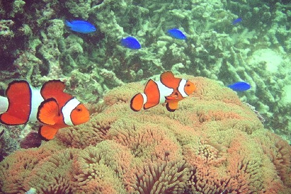 カヤックやまちゃんの写真1