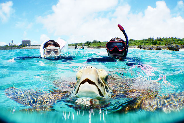 青色のシーズンの写真1