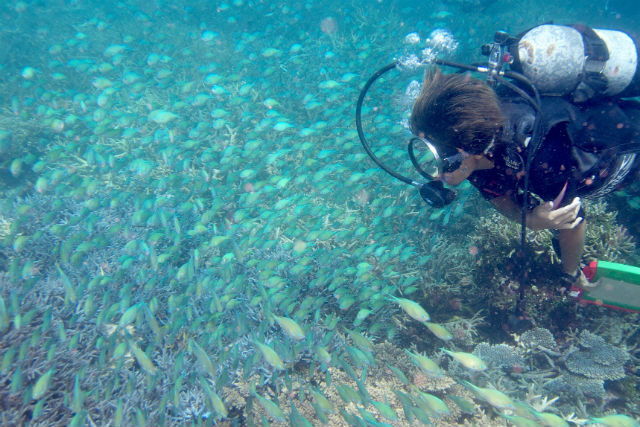 ダイビングショップ モーグルの写真1