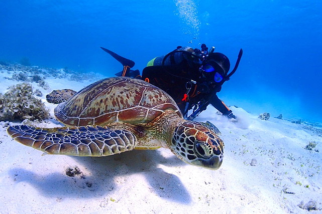 Summer Partyの写真1