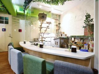 猫カフェととの森