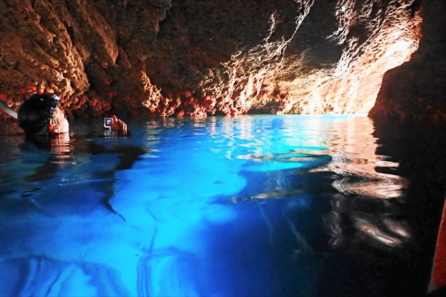 ダイビングチーム あなたの清の写真1