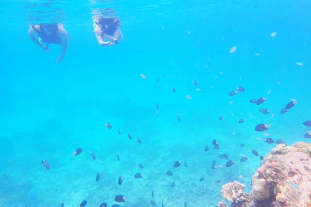 Acoustic Lifeの写真1