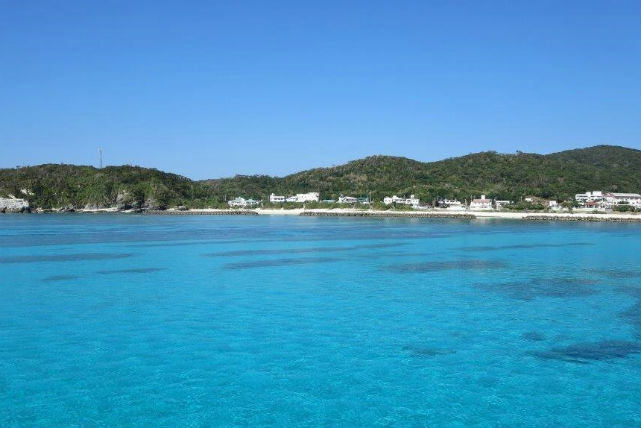 Oscamintolの写真1