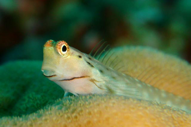 SOUTH BREEZEの写真1