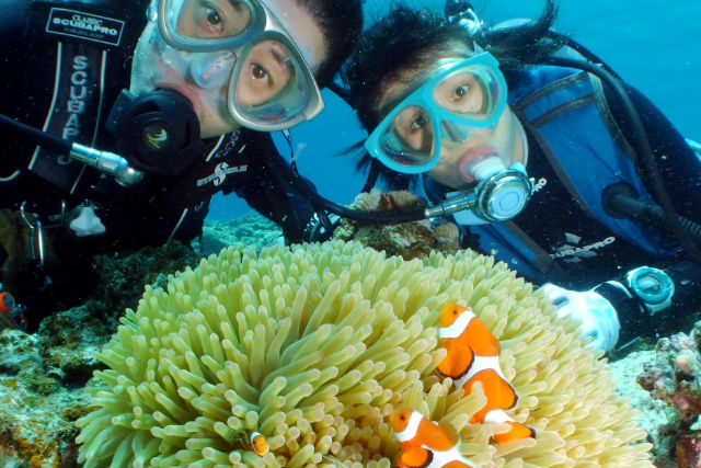 民宿&ダイブサービスぶるーまりんの写真1