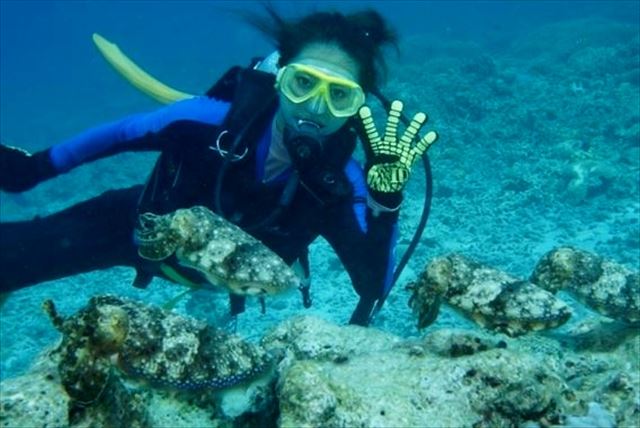 SEA STEP DIVERSの写真1