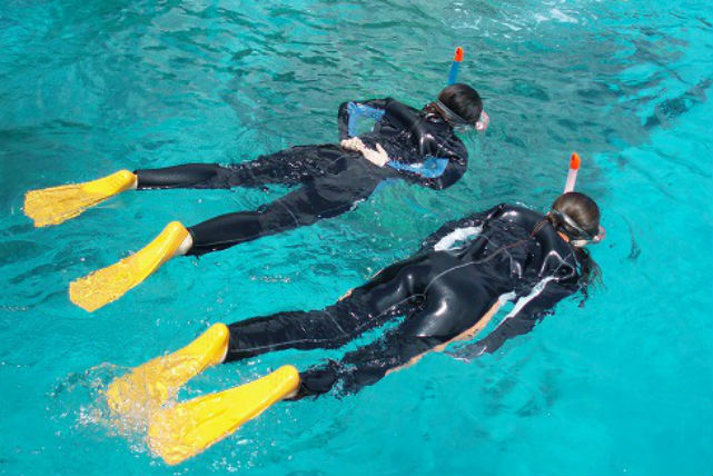 ダイビングショップえりせらの写真1