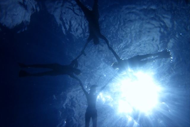 ザマミセーリングの写真1