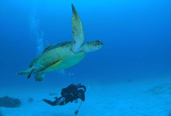 ダイビングチーム潮の写真1