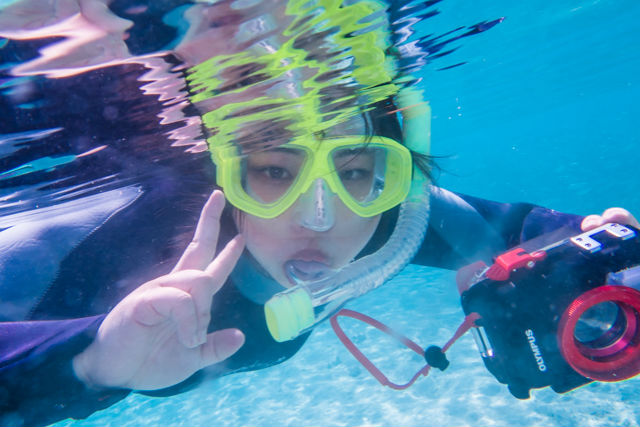 マリンハウスシーサー(阿嘉島店)の写真1