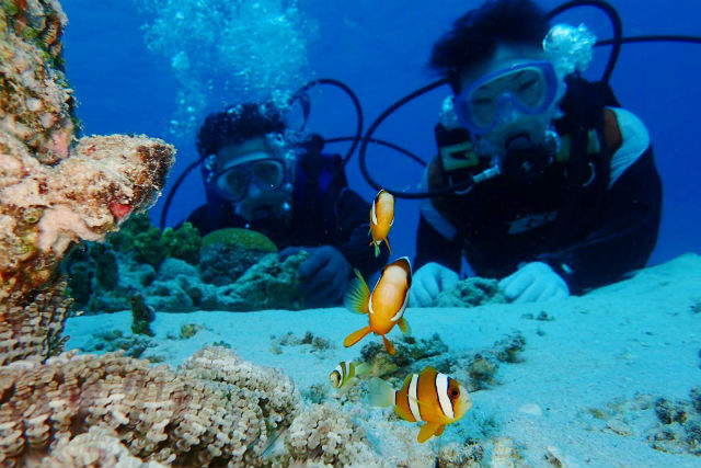 カイトマリンスポーツの写真1