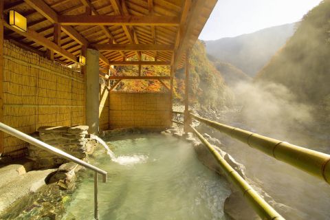 和の宿 ホテル祖谷温泉の写真1